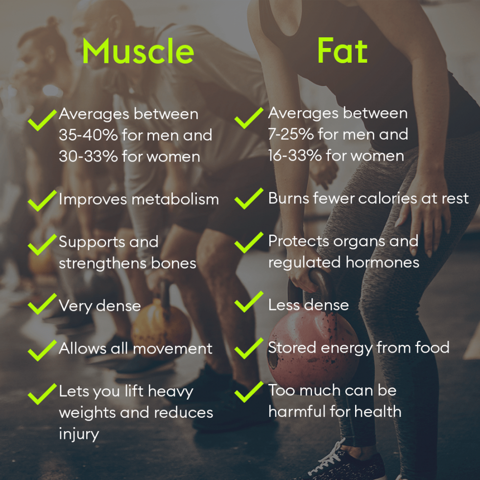 Is Muscle Heavier Than Fat 