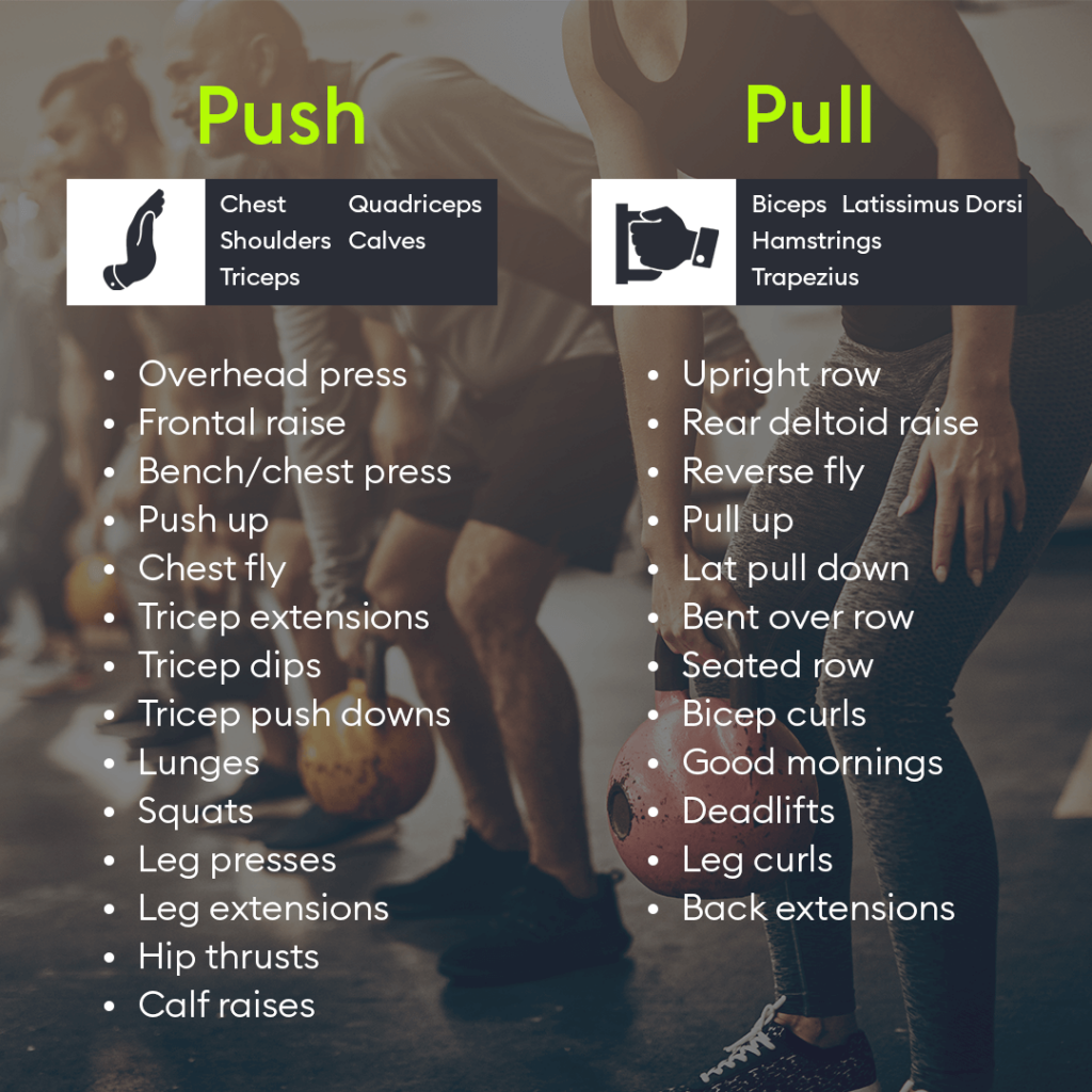 Push Day Workout Routine In Fears