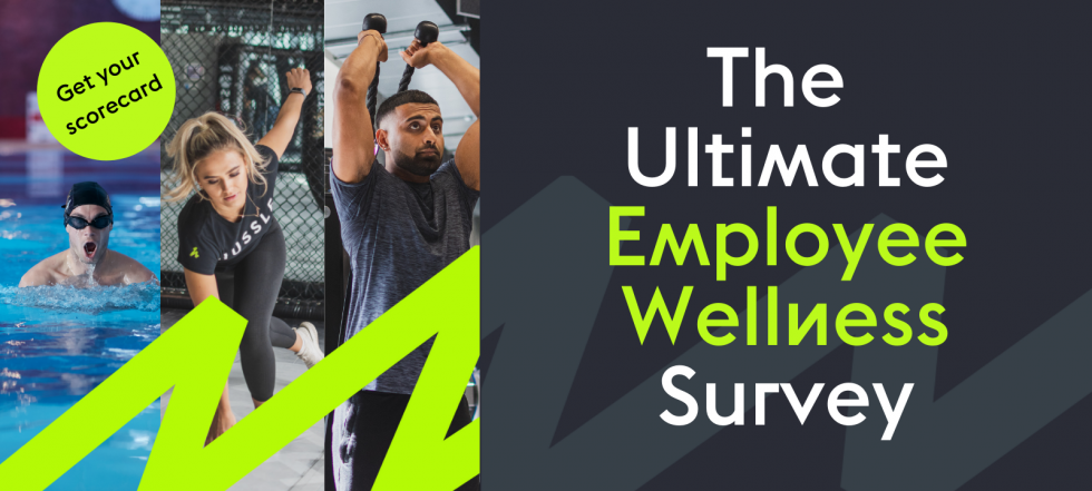 Launching The Ultimate Employee Wellness Survey 2024 The Hussle Blog   Employee Wellness Quiz 1700 X 720 Px 1 980x441 